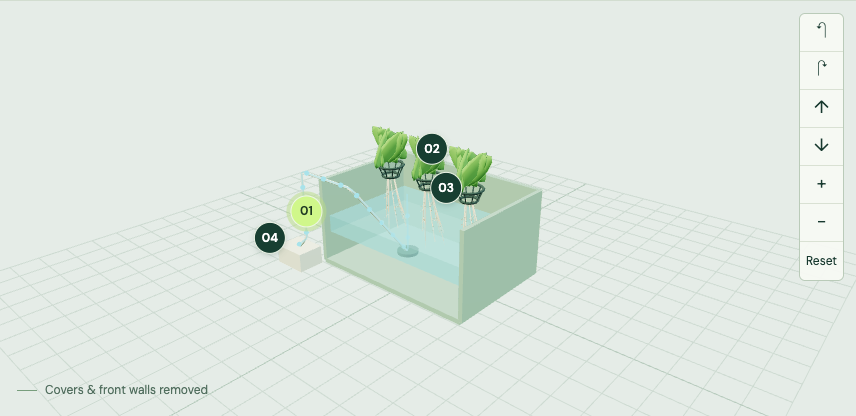 The actual deep water culture 3D model, with the tank walls removed to reveal the water, roots, and aeration.